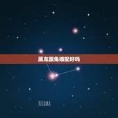 属龙跟兔婚配好吗，属龙和属兔的在一起合适吗