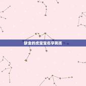 缺金的虎宝宝名字男孩 五行缺金虎宝宝男孩名字