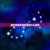 猴的婚姻更佳配偶是什么属相，属猴的婚姻配对更佳
