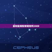 鼠和鼠相配婚姻如何2009，牛和鼠相配婚姻如何