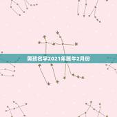 男孩名字2021年属牛2月份，2021年属牛男孩名字，适合儒雅大气的名