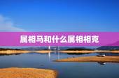 属相马和什么属相相克，属相马2022 年运势大全