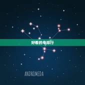 好看的龟排行，排名最漂亮的龟是哪种？