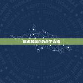 属虎和属牛的合不合婚，属牛和属虎的合不合