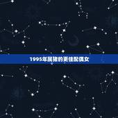 1995年属猪的更佳配偶女，1992年属猪的更佳配偶