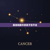 属龙和属牛的孩子合不合，属龙和属牛相不相克