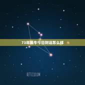 73年属牛今日财运怎么样，73年属牛星期几运势最旺