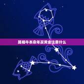 属相牛本命年买黄金注意什么，本命年牛戴金子的讲究