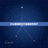 什么属相家中不宜摆放石狮子，风水石狮子摆放