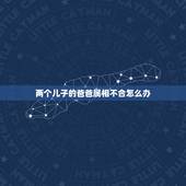 两个儿子的爸爸属相不合怎么办，爸爸和儿子不合怎么办