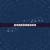 属兔婚配属相最佳配偶，属兔的人和什么属性的人做配偶最合适