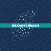 男生属猪和哪个属相最合适，95年属猪男的和什么属相最配？