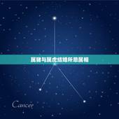 属猪与属虎结婚所忌属相，属虎结婚忌哪三个属相