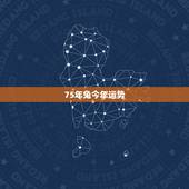 75年兔今年运势，75年属兔人47岁后运程