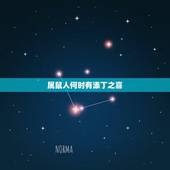 属鼠人何时有添丁之喜，84年属鼠命里缺儿子