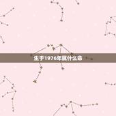 生于1976年属什么命，属龙1976土命里缺什么