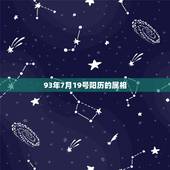 93年7月19号阳历的属相，2023年1月12日8点50分出生的五行属