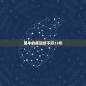 属牛的命运好不好73年，73年属牛的今年命运