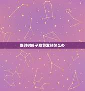 发财树叶子发黄发粘怎么办，发财树叶子发黄怎么办