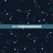 2022年属猪的婚姻感情如何，1983年属猪39岁有一道坎