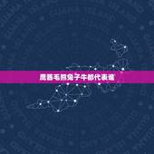 鹰酱毛熊兔子牛都代表谁，俄罗斯 民评论那年那兔
