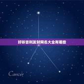 好听吉利发财网名大全有哪些，善良有正能量发财的网名有哪些？