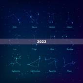2022 年属猴下半年要出大事，2022 年属猴人的全年运势
