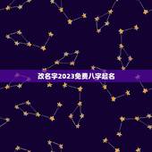 改名字2023免费八字起名(如何为宝宝取一个好听的名字)