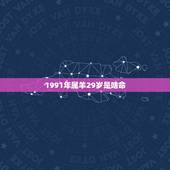 1991年属羊29岁是啥命，1991年羊人29岁后命运