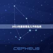 2022年最容易生儿子的生肖，2022年必定生儿子的生肖