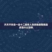 天天不休息一走十二里有人来找我看看我脸皮是什么动物，天天不休息，一走十
