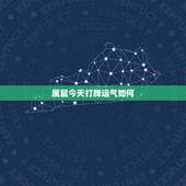 属鼠今天打牌运气如何，属鼠72年今天打扑克坐那个方向