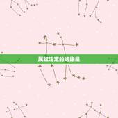 属蛇注定的姻缘是，人的姻缘是注定的