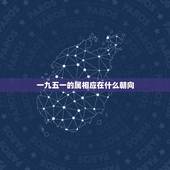 一九五一的属相应在什么朝向，1951年农历十月初九生的男性应属什么星座