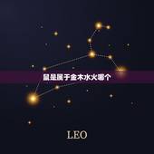 鼠是属于金木水火哪个，金木水火打一字是什么