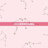 2022虎百年什么来头，2022年是什么虎？