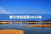 猪今年的运势2022年，属猪人今年的运势怎么样猪今年运势
