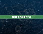 猪跟老虎的属相合不合，虎女和猪男和不合