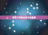 男女八字配对合不合免费，急，男女八字配对