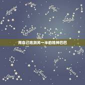 用自己姓测另一半的姓神巴巴，怎样知道自己另一半姓氏