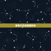 属兔今日运势偏财运，我是属兔今天偏财运如何