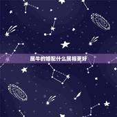 属牛的婚配什么属相更好，属狗的婚配什么属相更好