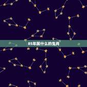 85年属什么的生肖，86年属什么的生肖