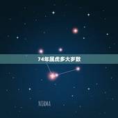 74年属虎多大岁数，86年属虎最难的几年