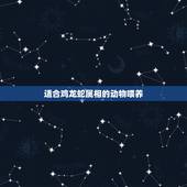 适合鸡龙蛇属相的动物喂养，生肖龙和鸡适合要什么属相的孩子