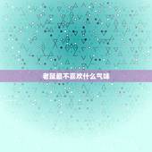 老鼠最不喜欢什么气味，梦见被老鼠咬是什么意思