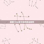 属猴1956年今年的命运如何，属猴1956年4月22日在2o16年运程