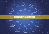 属鼠明年的运势怎么样，属鼠的女人在今年的运气怎么样，怎样才能改变一下财