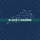 鸡人在己亥十二月的运势如何，2011年属鸡12个月运势运程