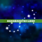 属龙的和属虎的孩子属什么属相好，属龙的和属虎的婚姻